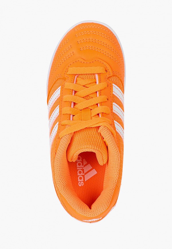 фото Бутсы зальные adidas