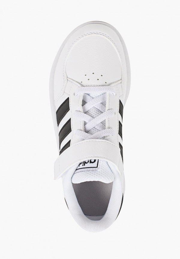 фото Кеды adidas