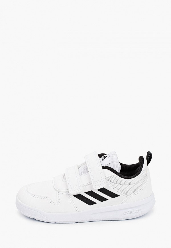 фото Кеды adidas