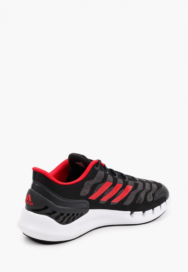 фото Кроссовки adidas