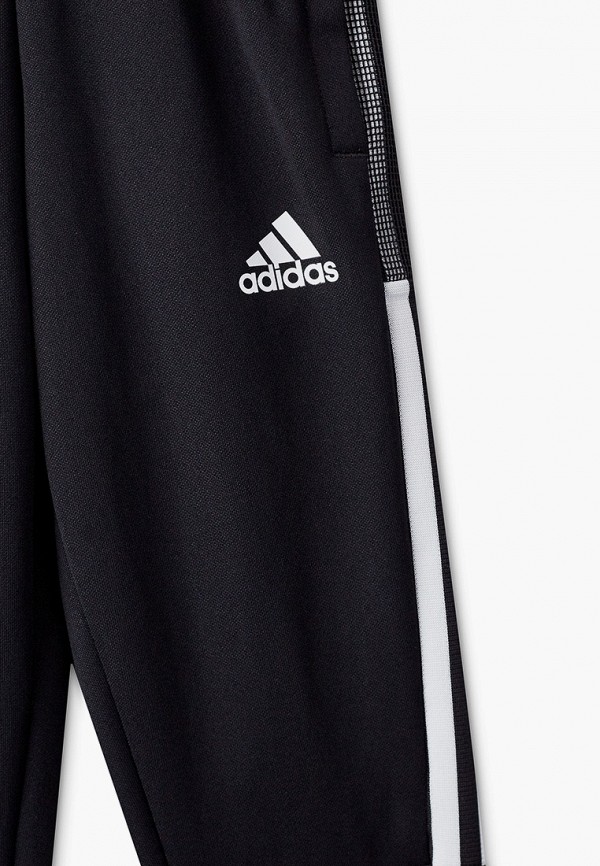 фото Брюки спортивные adidas