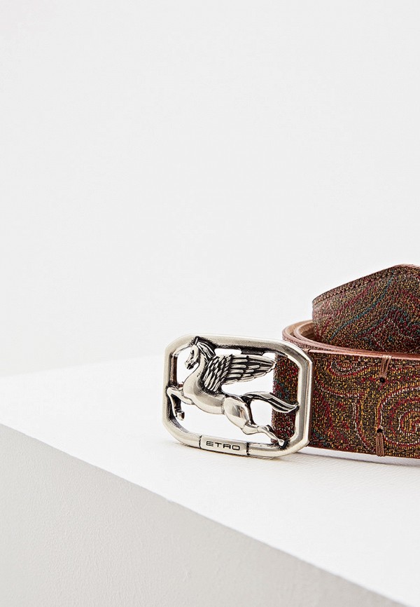 фото Ремень etro
