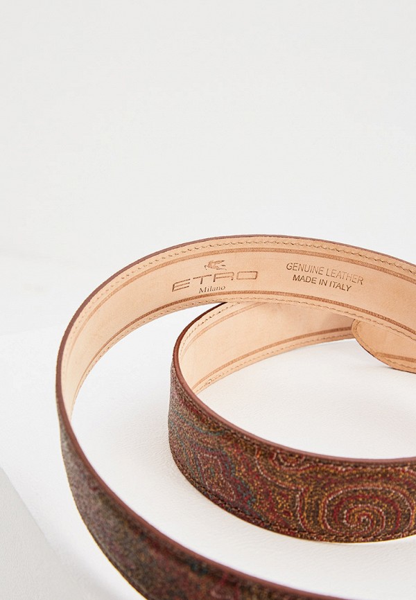 фото Ремень etro