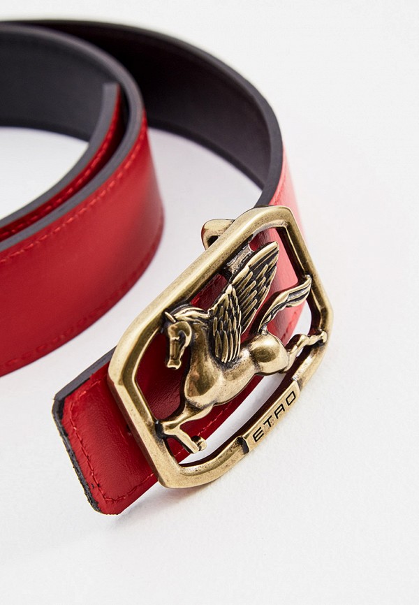 фото Ремень etro