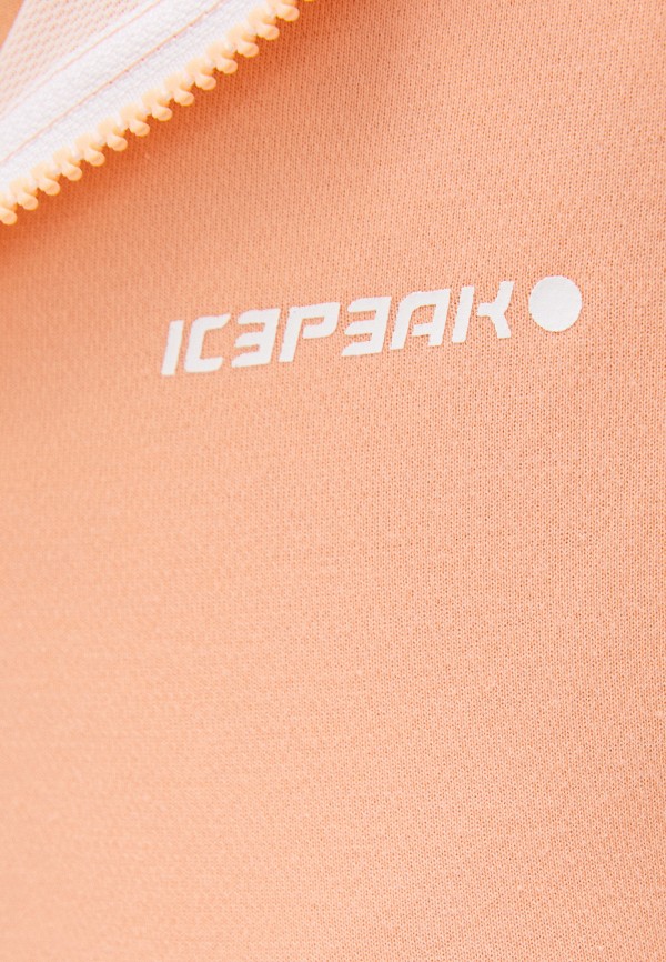 фото Толстовка icepeak
