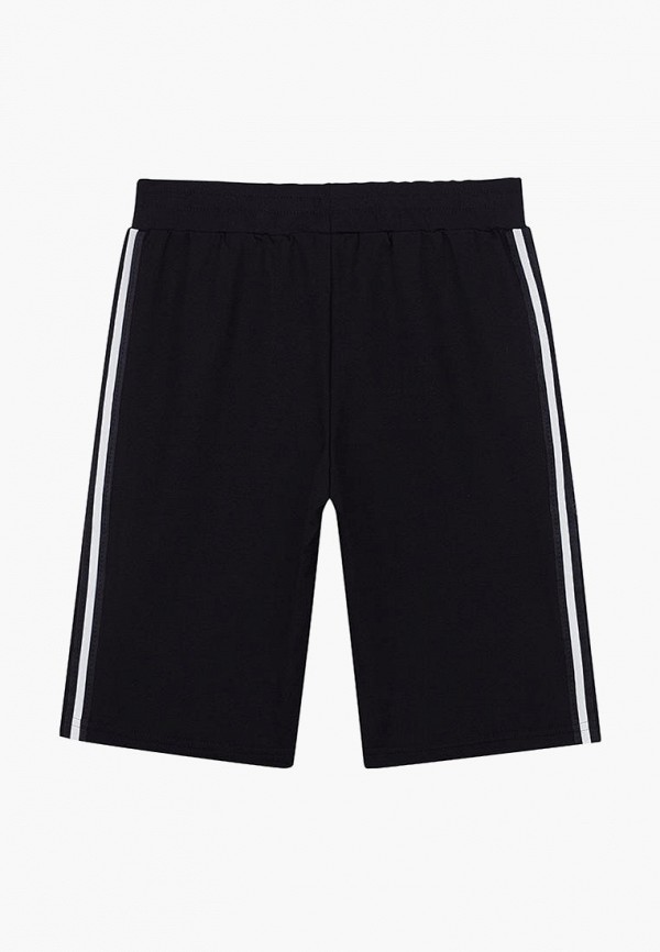 фото Шорты bell bimbo