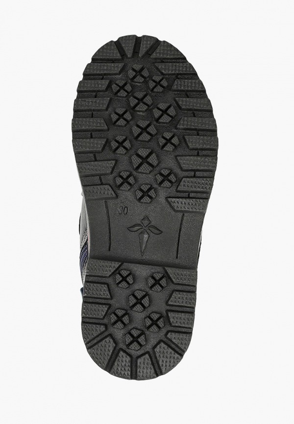 фото Ботинки t.taccardi