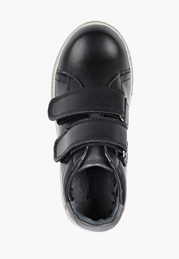 фото Кеды alessio nesca