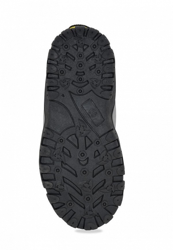 фото Ботинки t.taccardi