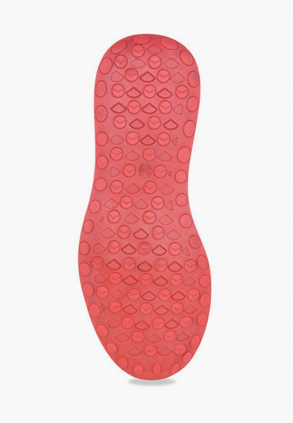 фото Кроссовки t.taccardi