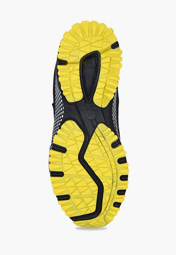 фото Кроссовки t.taccardi