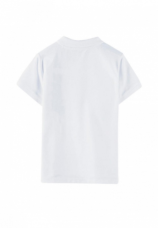 фото Поло 5.10.15