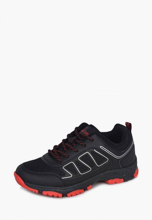 фото Кроссовки t.taccardi