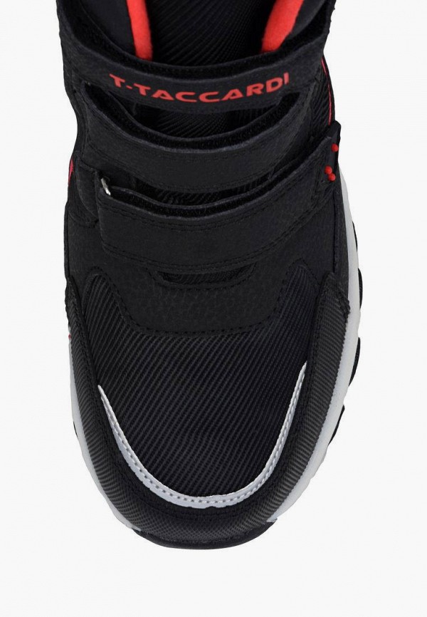 фото Сапоги t.taccardi