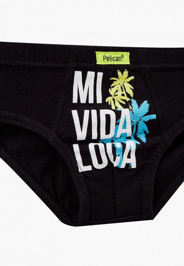 фото Трусы 3 шт. pelican