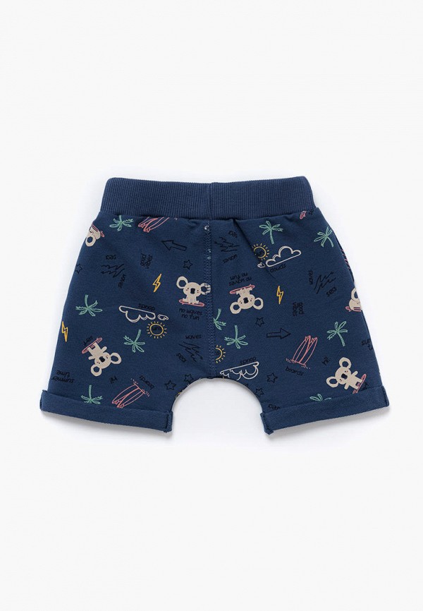 фото Шорты спортивные artie