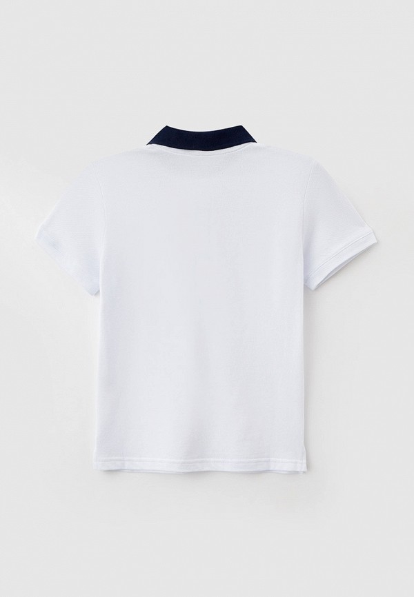 фото Поло котмаркот