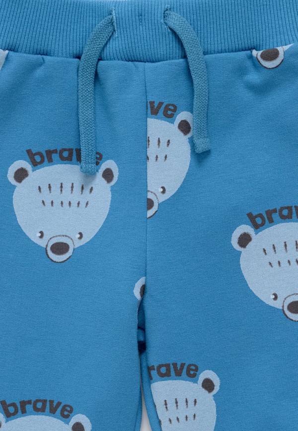 фото Брюки спортивные artie