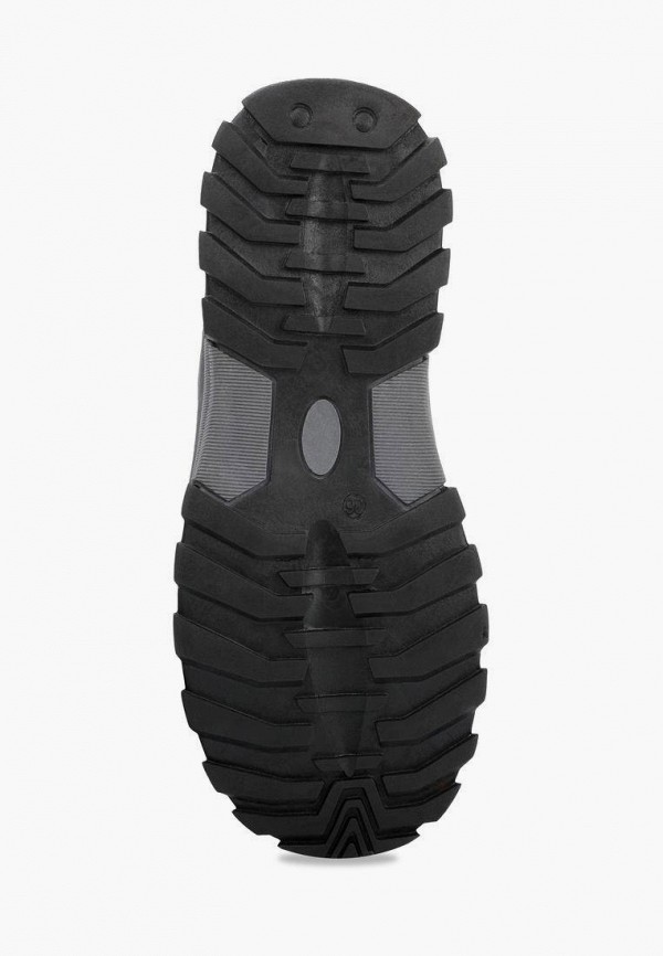 фото Кеды t.taccardi