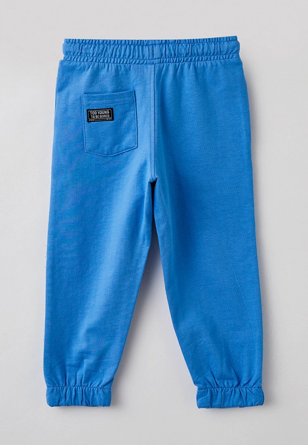 фото Брюки спортивные acoola