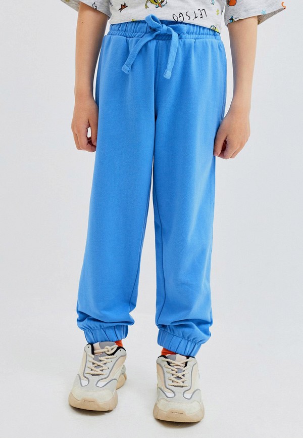 фото Брюки спортивные acoola