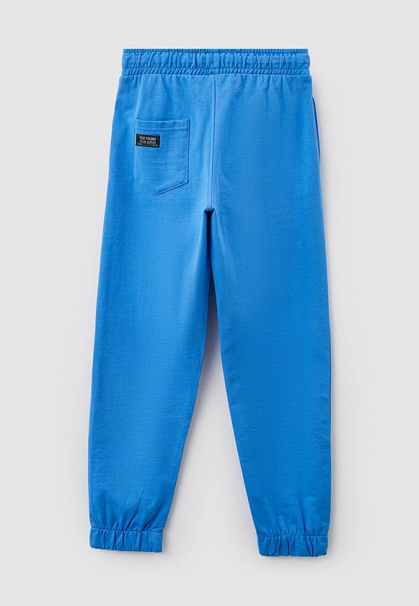 фото Брюки спортивные acoola