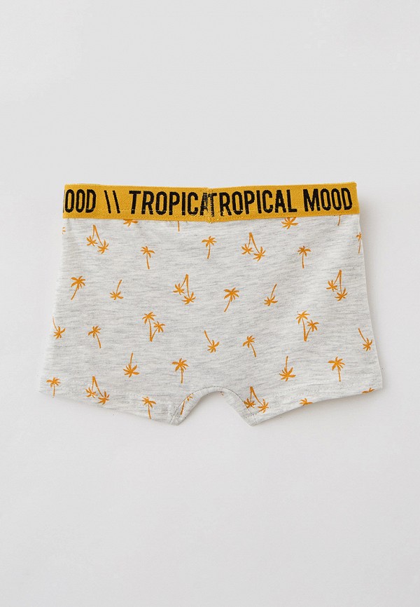 фото Трусы 2 шт. acoola