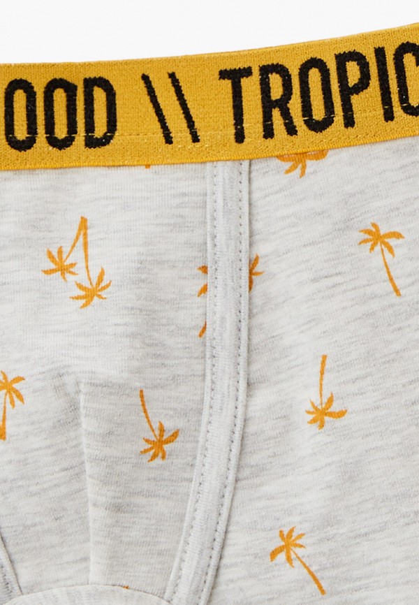 фото Трусы 2 шт. acoola