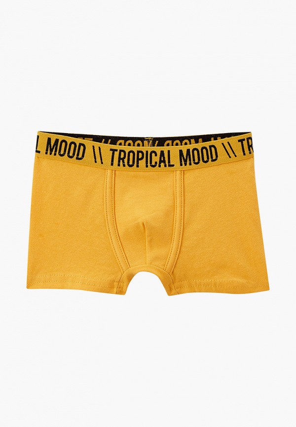 фото Трусы 2 шт. acoola