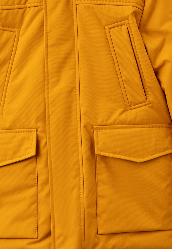 фото Парка avese