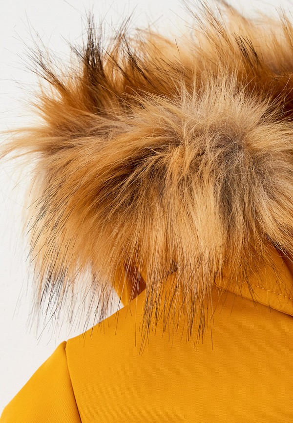 фото Парка avese