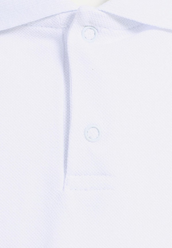 фото Поло апрель