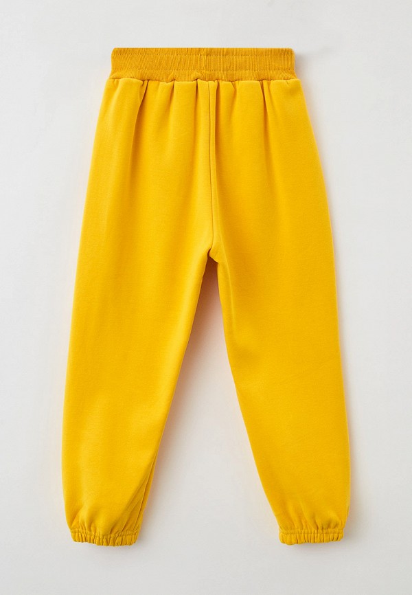 фото Брюки спортивные veresk