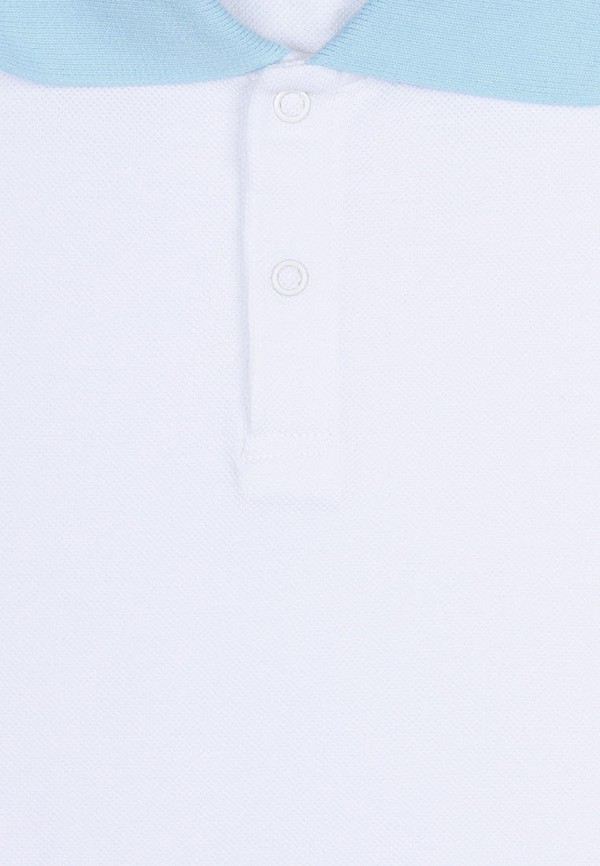 фото Поло апрель