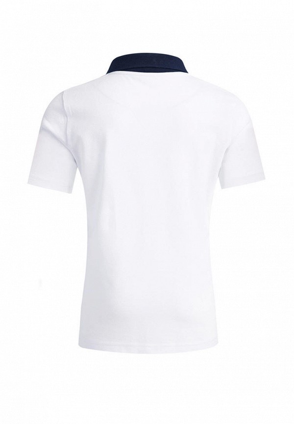 фото Поло апрель