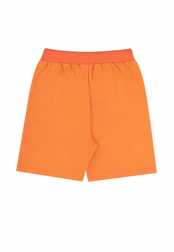 фото Шорты спортивные апрель