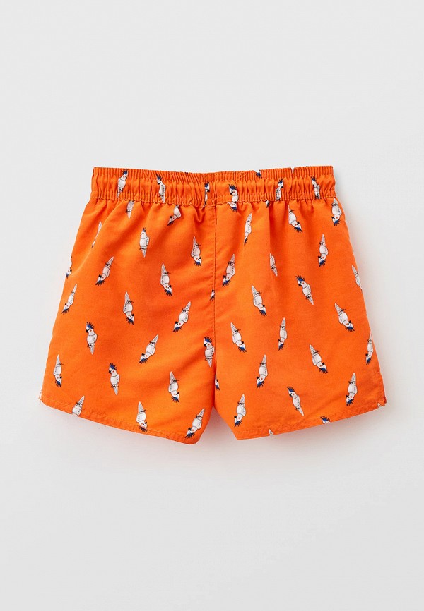 фото Шорты для плавания modis