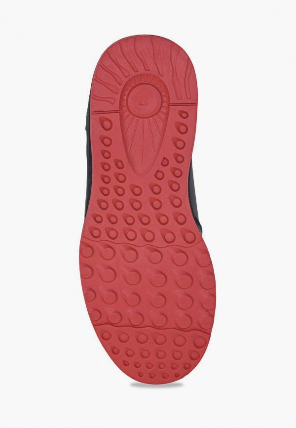 фото Кроссовки t.taccardi