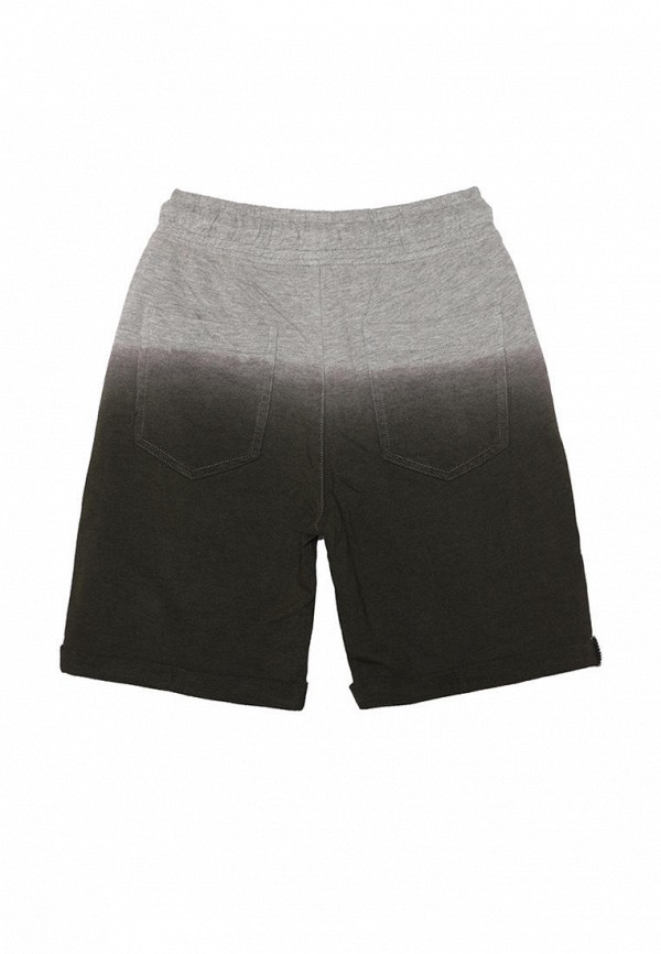 фото Шорты спортивные canada house