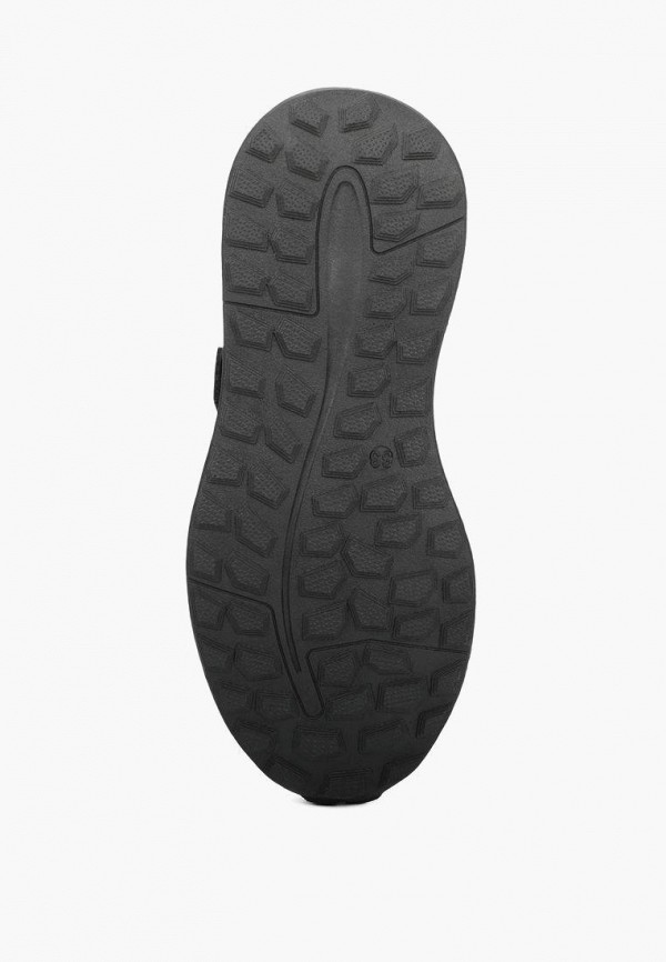 фото Кроссовки t.taccardi