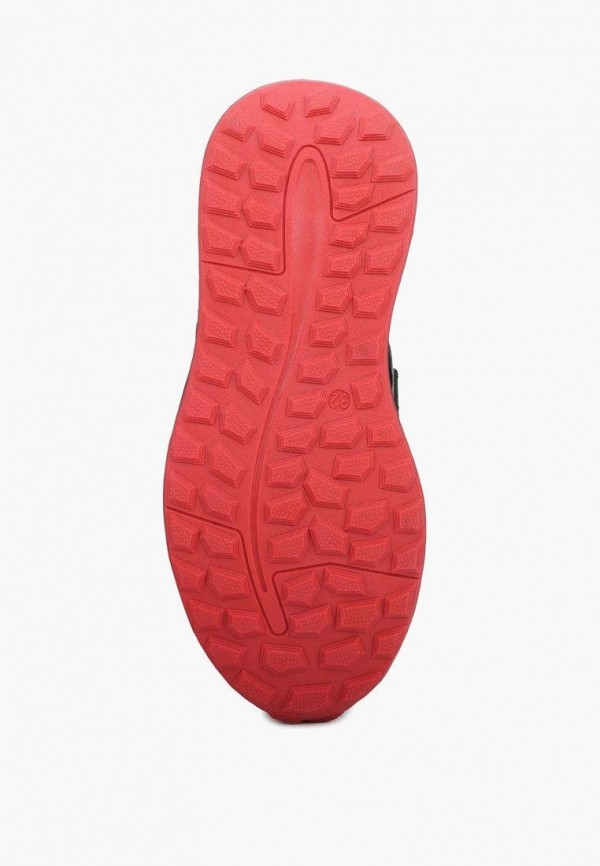 фото Кроссовки t.taccardi