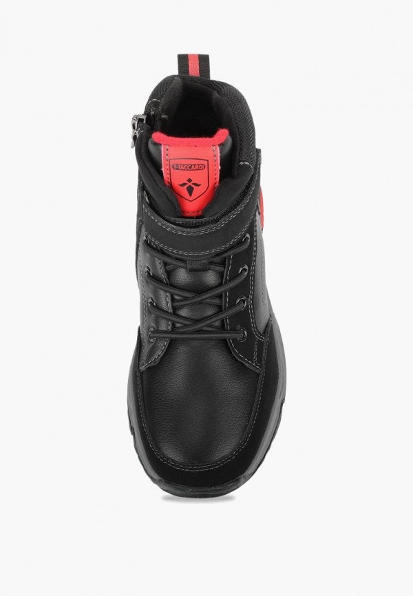 фото Ботинки t.taccardi