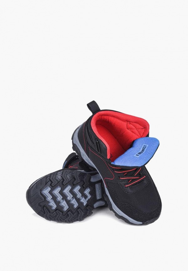 фото Ботинки t.taccardi