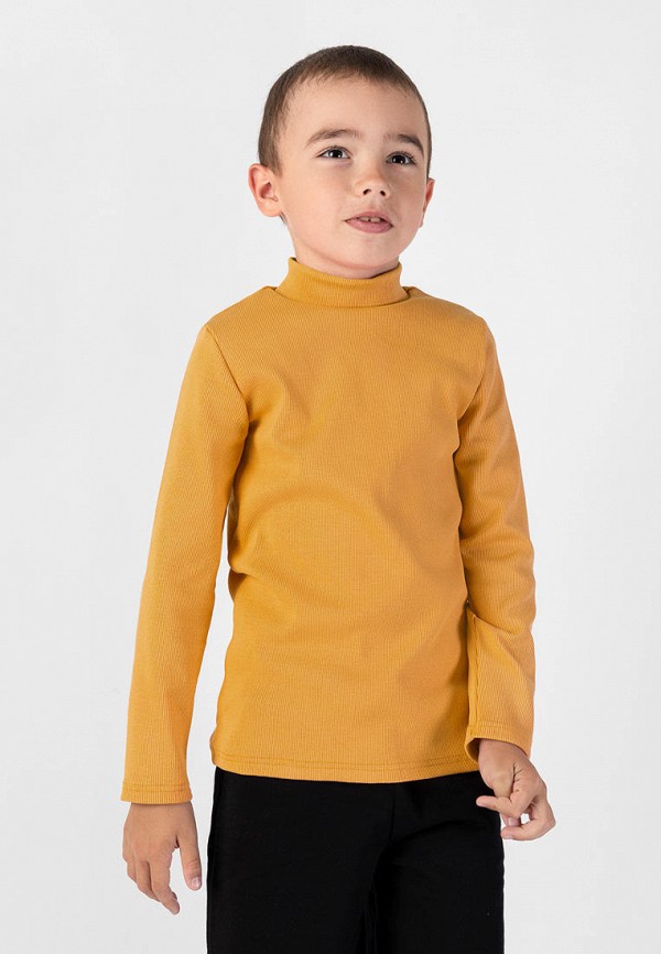 фото Водолазка bossa nova