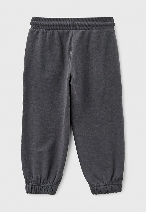 фото Брюки спортивные acoola