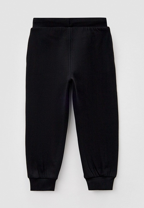 фото Брюки спортивные acoola