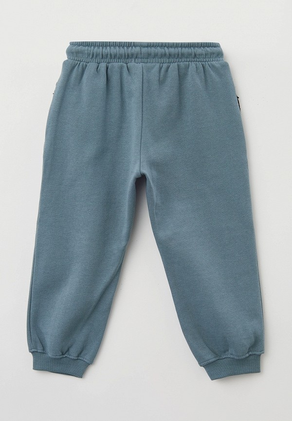 фото Брюки спортивные acoola