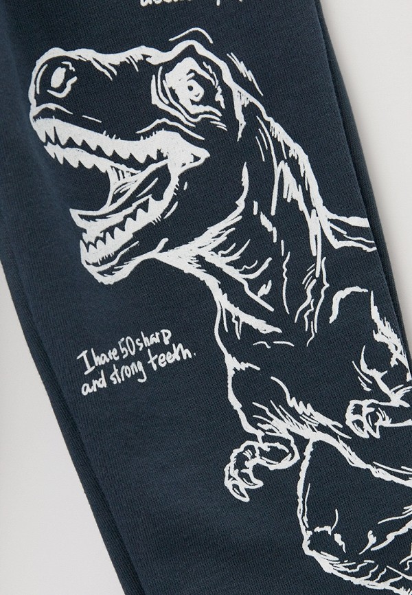 фото Брюки спортивные funday