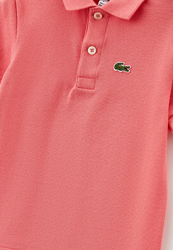 фото Поло lacoste