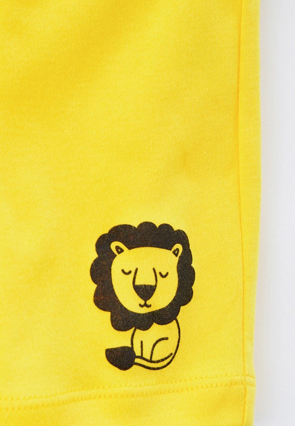 фото Шорты спортивные котмаркот